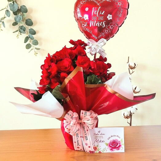Vaso de Flor Begonia com Balão Feliz dia das Mães