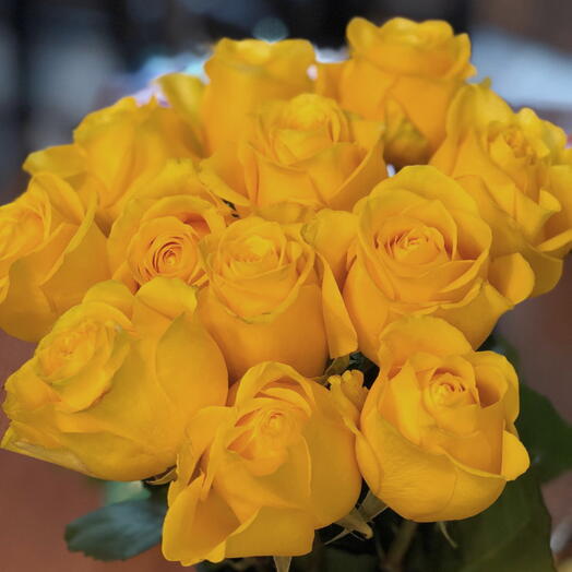 Rosas Amarelas