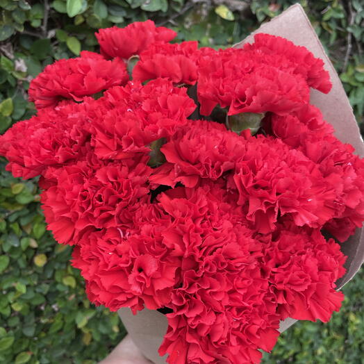 Buquê de Cravo Vermelho