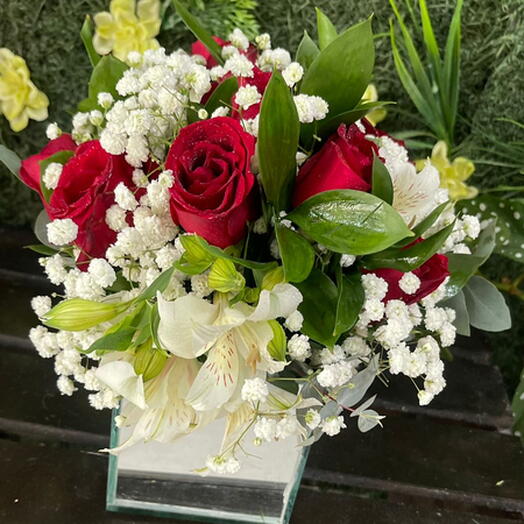 Buque Amor Refletido