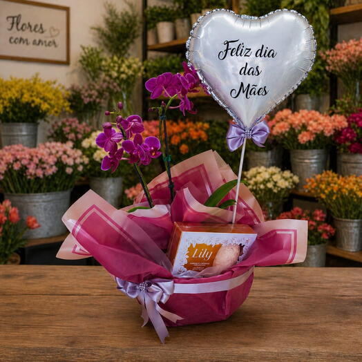 Cesta dia das mães com mini orquidea Phalaenopsis