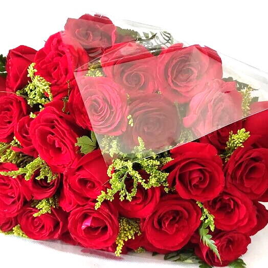 Buque de 24 Rosas Vermelhas