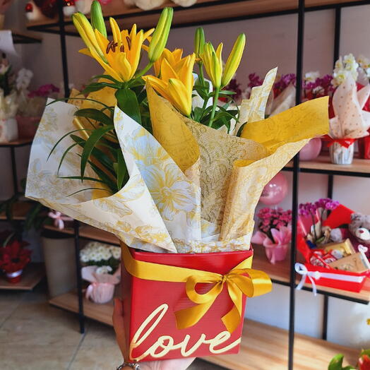 Lirio Plantado Amarelo