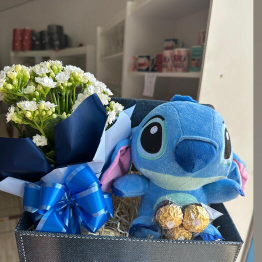 Cesta Stitch com Kalanchoe