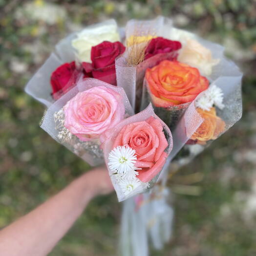 10 Rosa Embaladas Separadamente