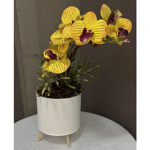 Arranjo Orquidea Amarela