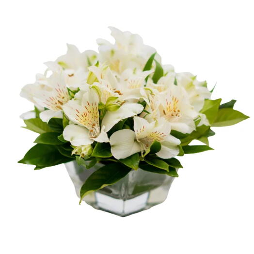 Arranjo de Astromelia Branca em vaso de Vidro Alissa