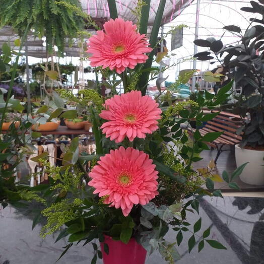 Arranjo de gerbera em degrade vaso de aluminio