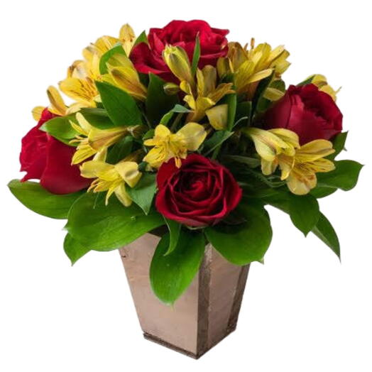 Arranjo Linda Demais