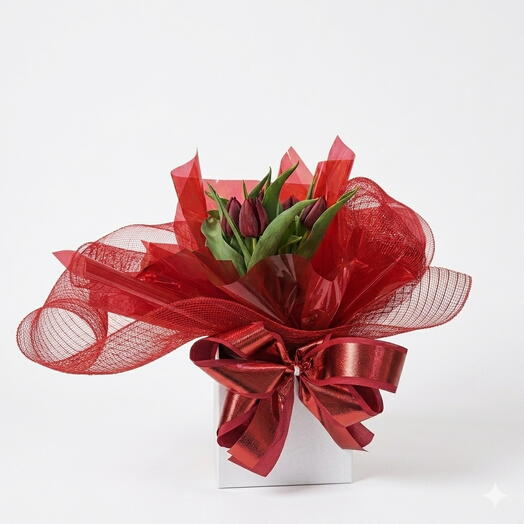 Tulipa