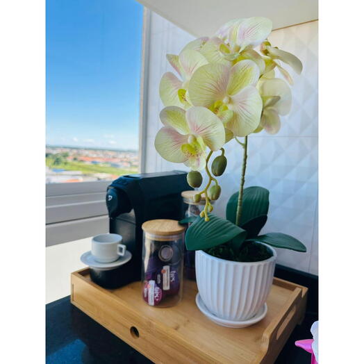 Arranjo de Orquidea Champanhe em Silicone com uma Haste