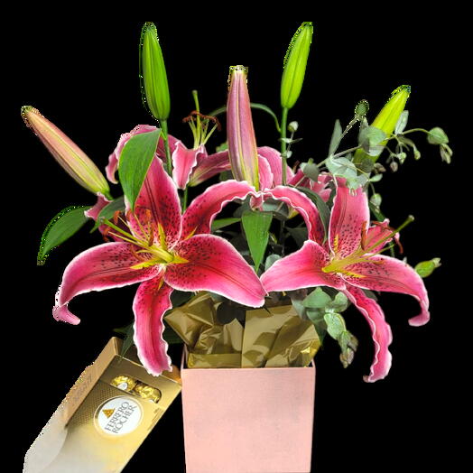 Arranjo de Lirios Cor de Rosa e Chocolate Ferrero Rocher