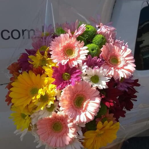 Buque de gerbera