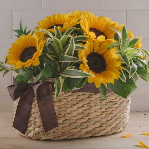 Cesta de Girassois com folhagem