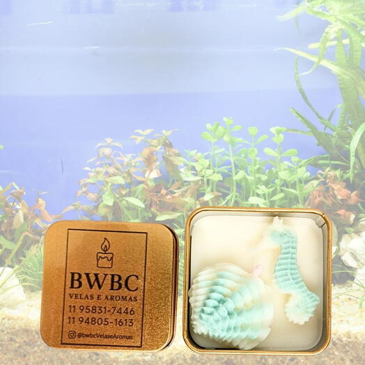 VELA AROMATICA FUNDO DO MAR 2