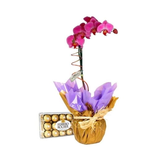 Orquidea Pink e Ferrero Rocher