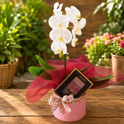 Orquidea Phalaenopsis com sabonete Boticario