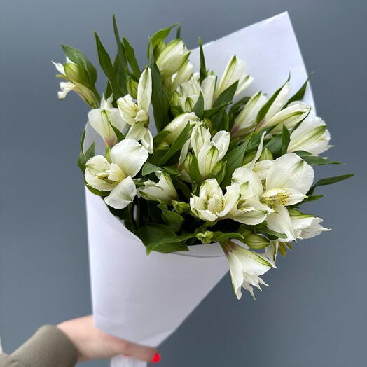 Buquê Interior de Alstroemerias