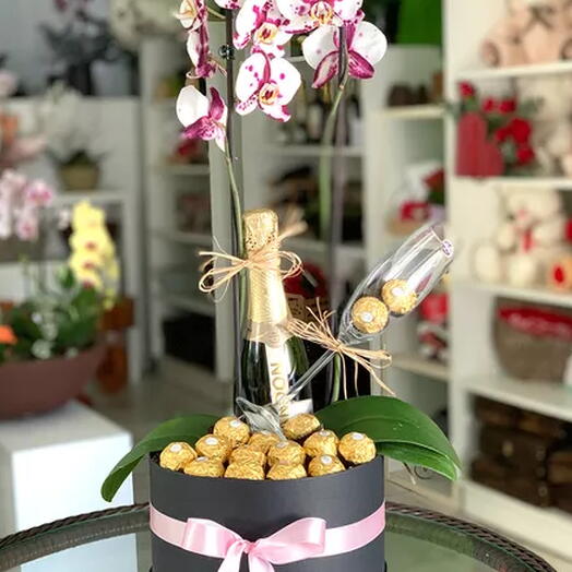 Orquidea Perfect Com Ferrero e Chandon Baby