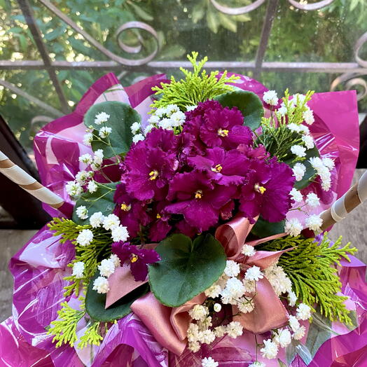 Cesta de Violeta