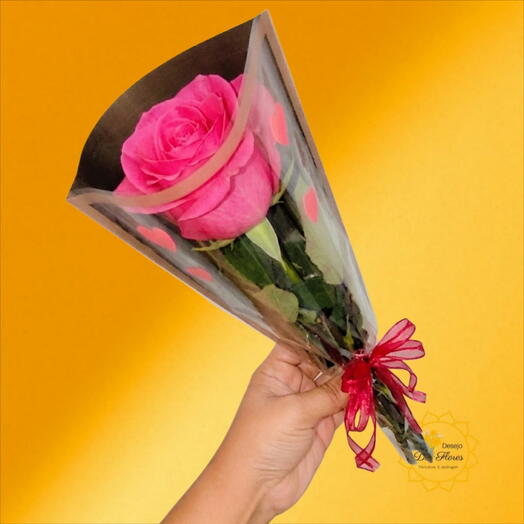 Rosa Solitaria Pink -🌷 DIA DAS MÃES
