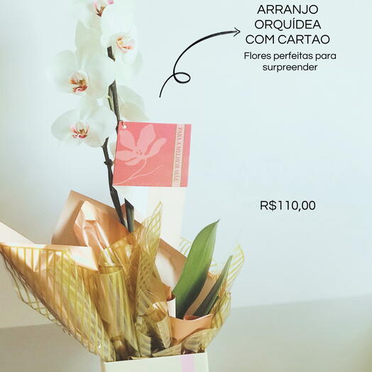 Arranjo de Orquidea Belissima