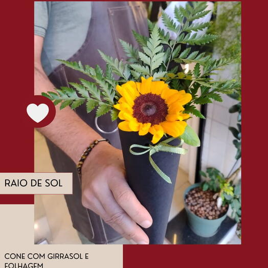 RAIO DE SOL - COLEÇÃO NAMORADOS
