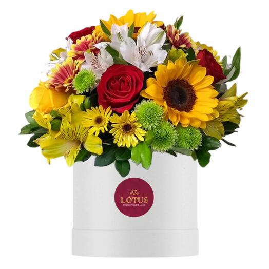 Box de Flores do Campo