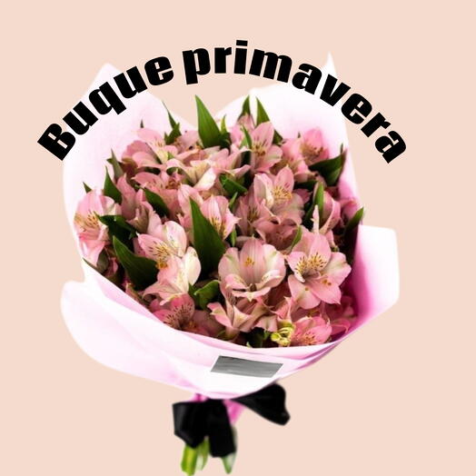Buque Primavera