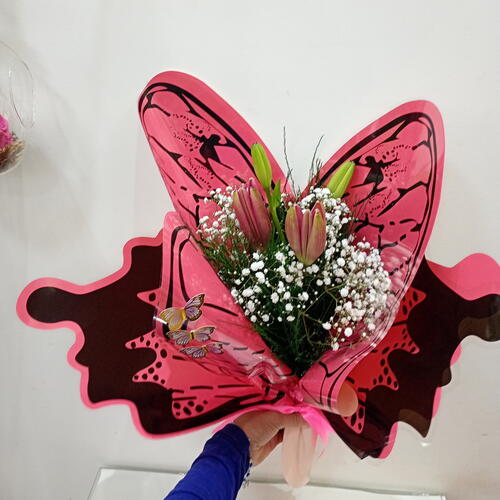 review-photo-before