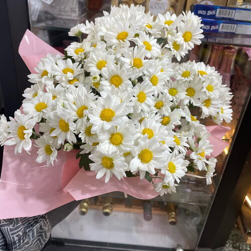 review-photo-before