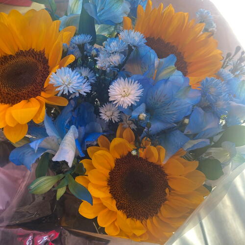 review-photo-before