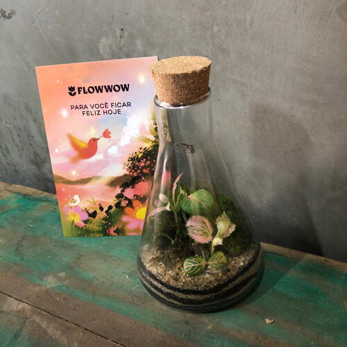 review-photo-before
