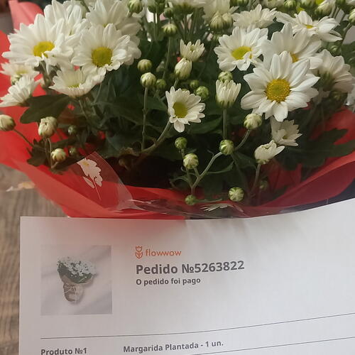 review-photo-before