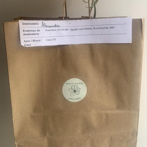 review-photo-before