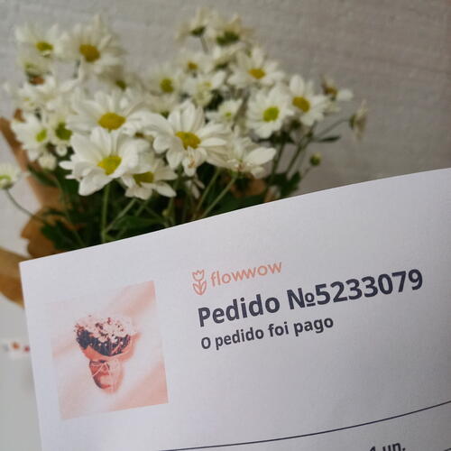 review-photo-before